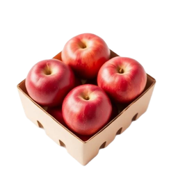 Apple Budget Box